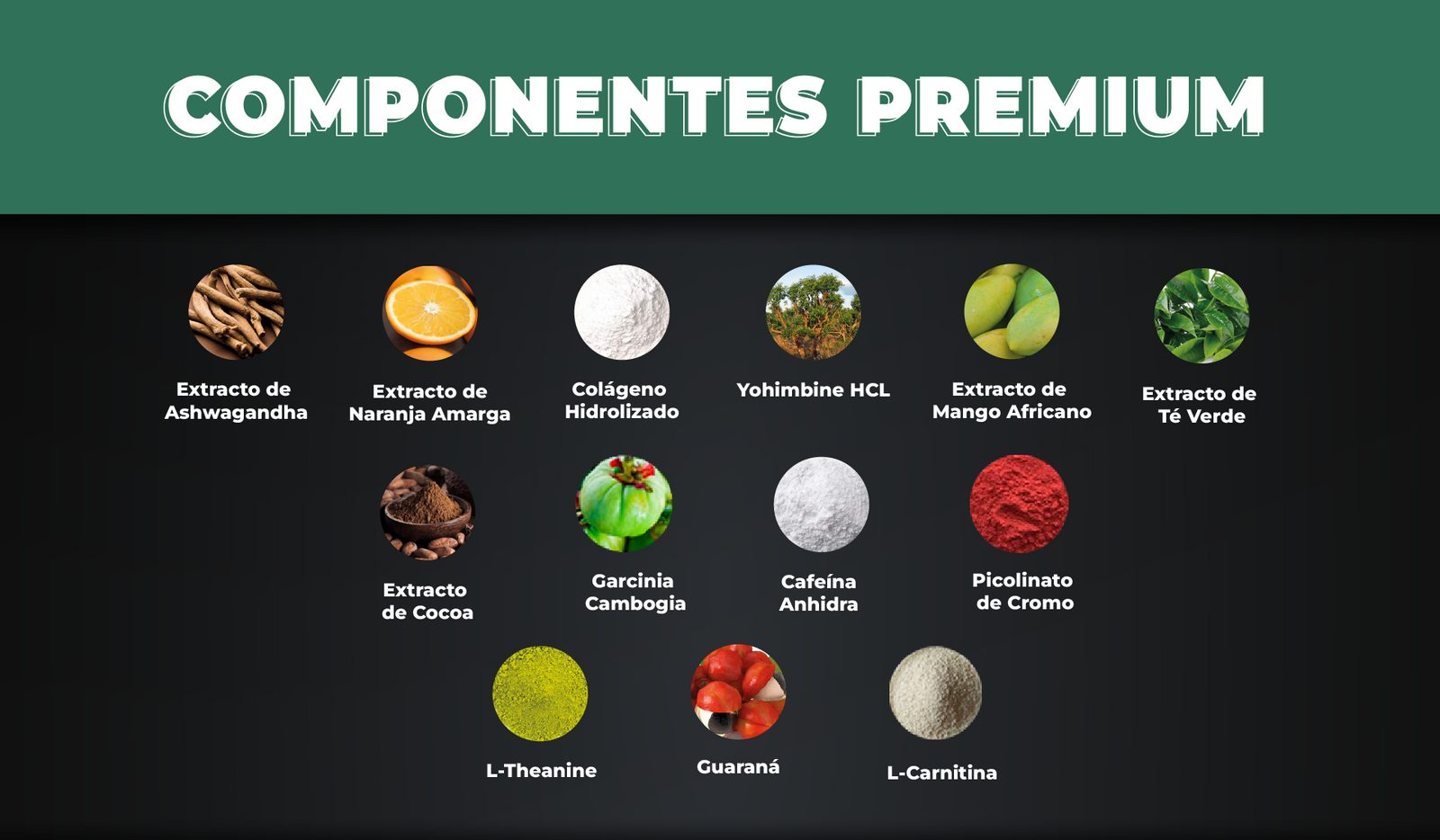 Quemador de grasa, bajar de peso